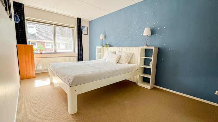 Foto 18 van Snaveldolfijn 6