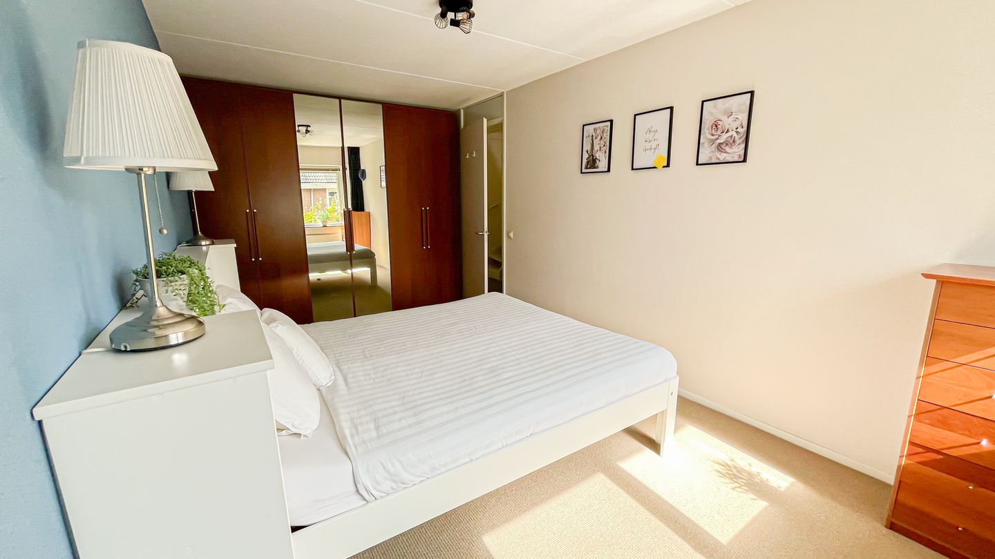 Foto 19 van Snaveldolfijn 6