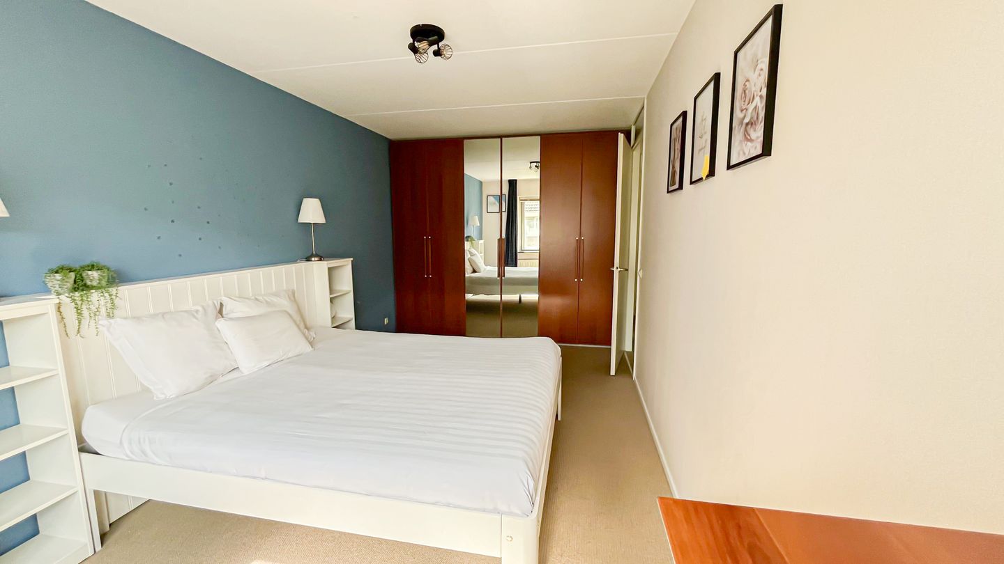 Foto 20 van Snaveldolfijn 6