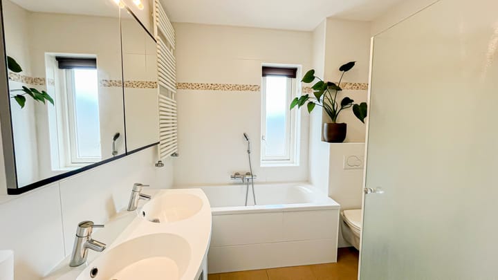 Foto 21 van Snaveldolfijn 6