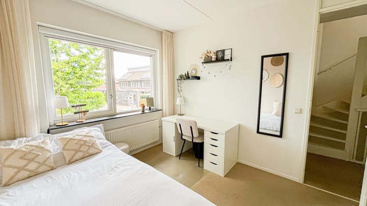 Foto 24 van Snaveldolfijn 6