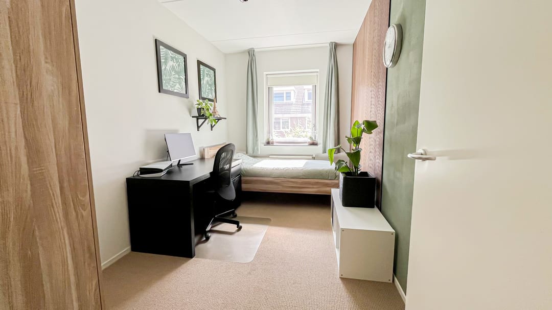 Foto 26 van Snaveldolfijn 6