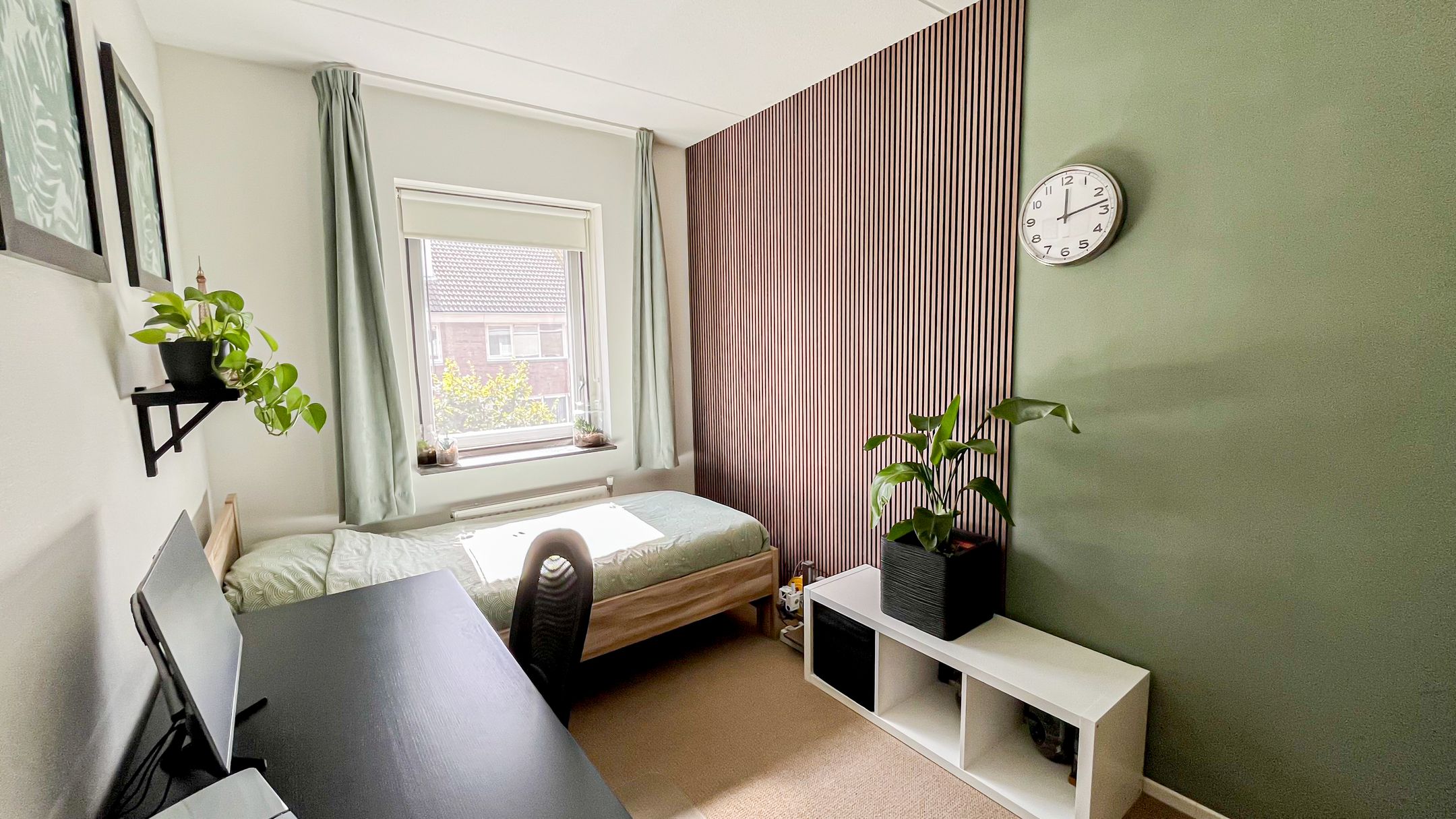 Foto 27 van Snaveldolfijn 6