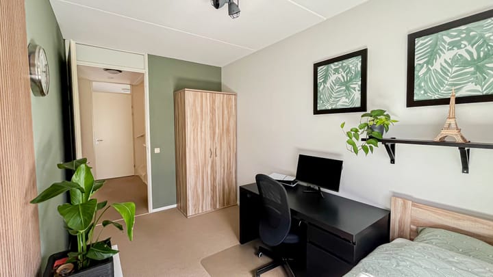 Foto 28 van Snaveldolfijn 6