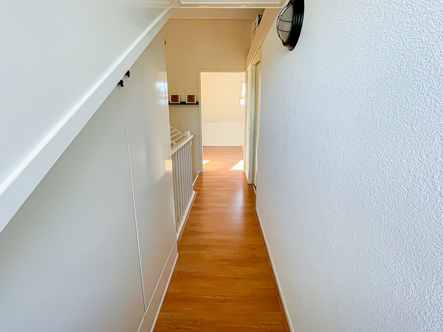 Foto 29 van Snaveldolfijn 6