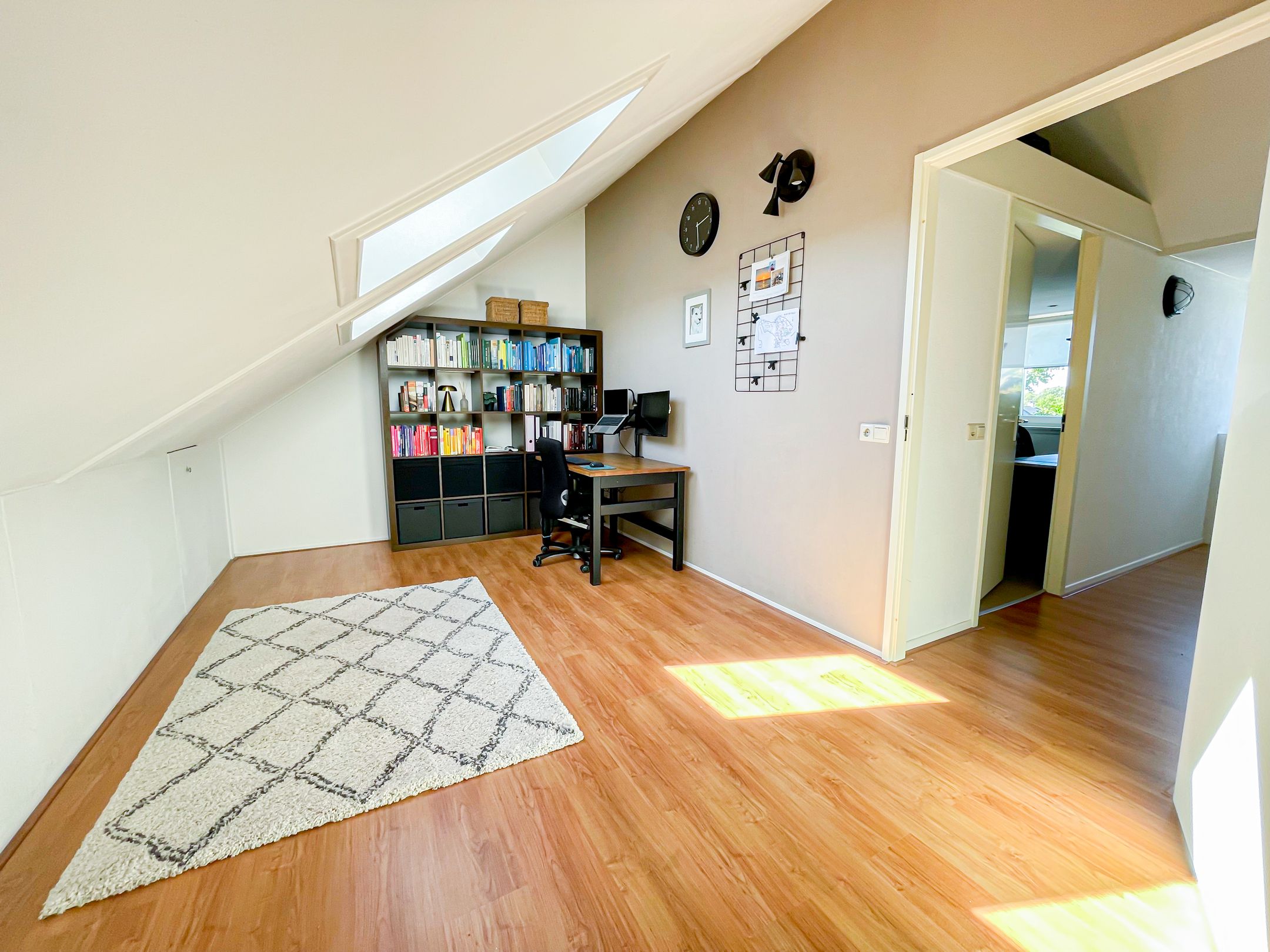 Foto 30 van Snaveldolfijn 6