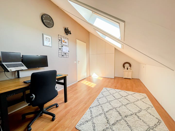 Foto 31 van Snaveldolfijn 6