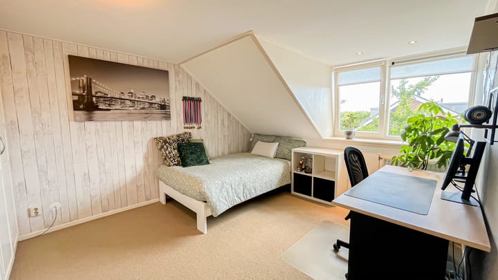 Foto 35 van Snaveldolfijn 6