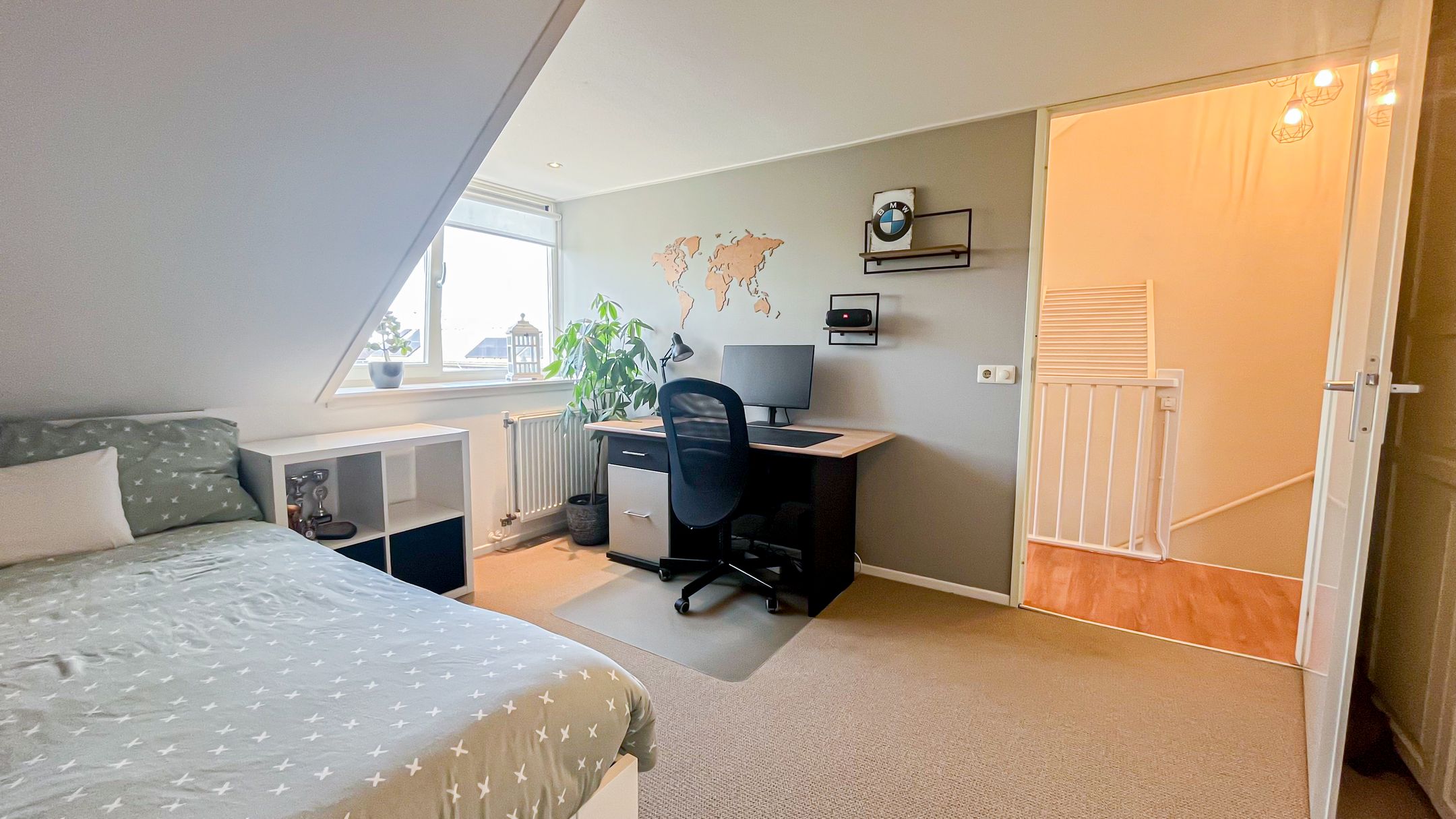 Foto 36 van Snaveldolfijn 6