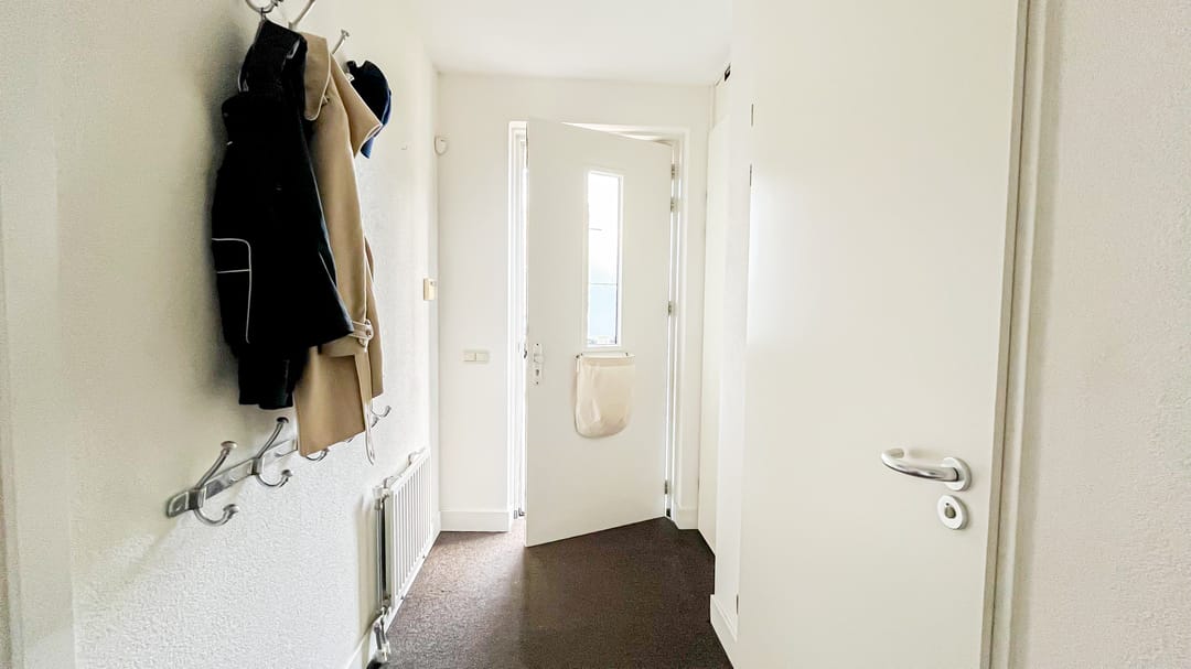 Foto 38 van Snaveldolfijn 6