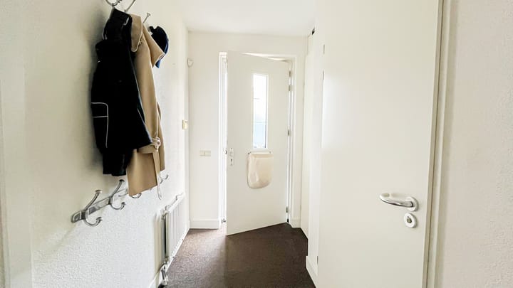 Foto 38 van Snaveldolfijn 6