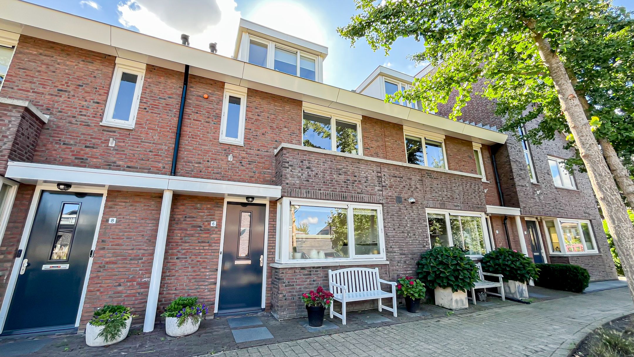 Foto 39 van Snaveldolfijn 6