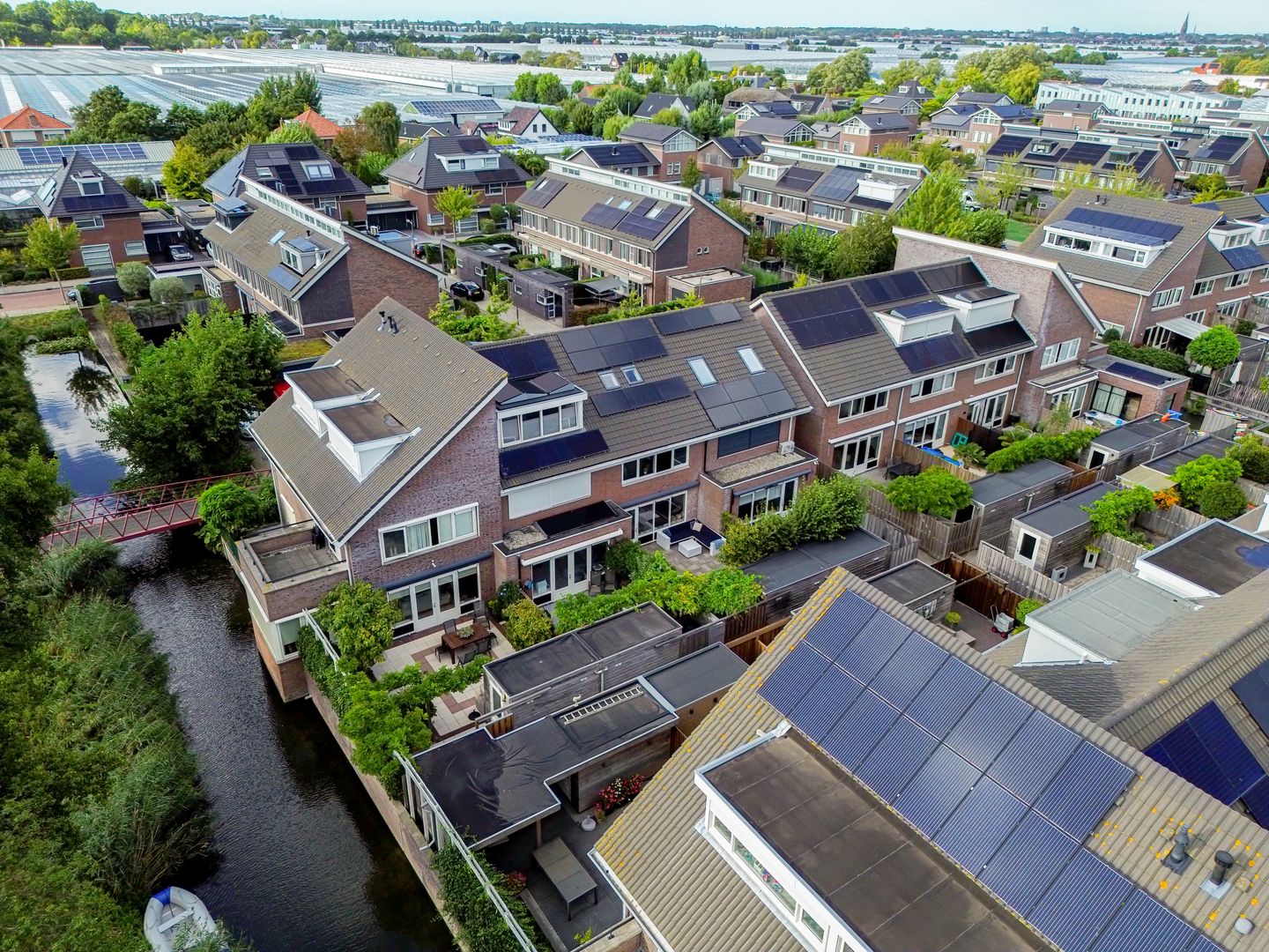 Foto 40 van Snaveldolfijn 6