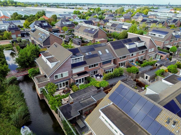 Foto 40 van Snaveldolfijn 6