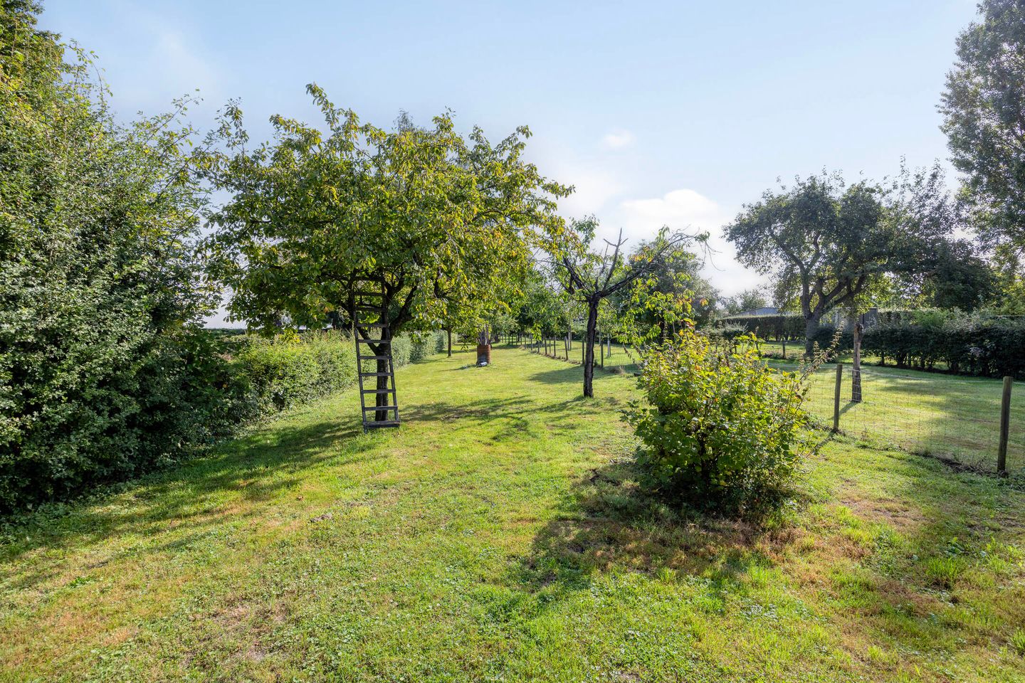 Photo 5 of Op de Bies 38