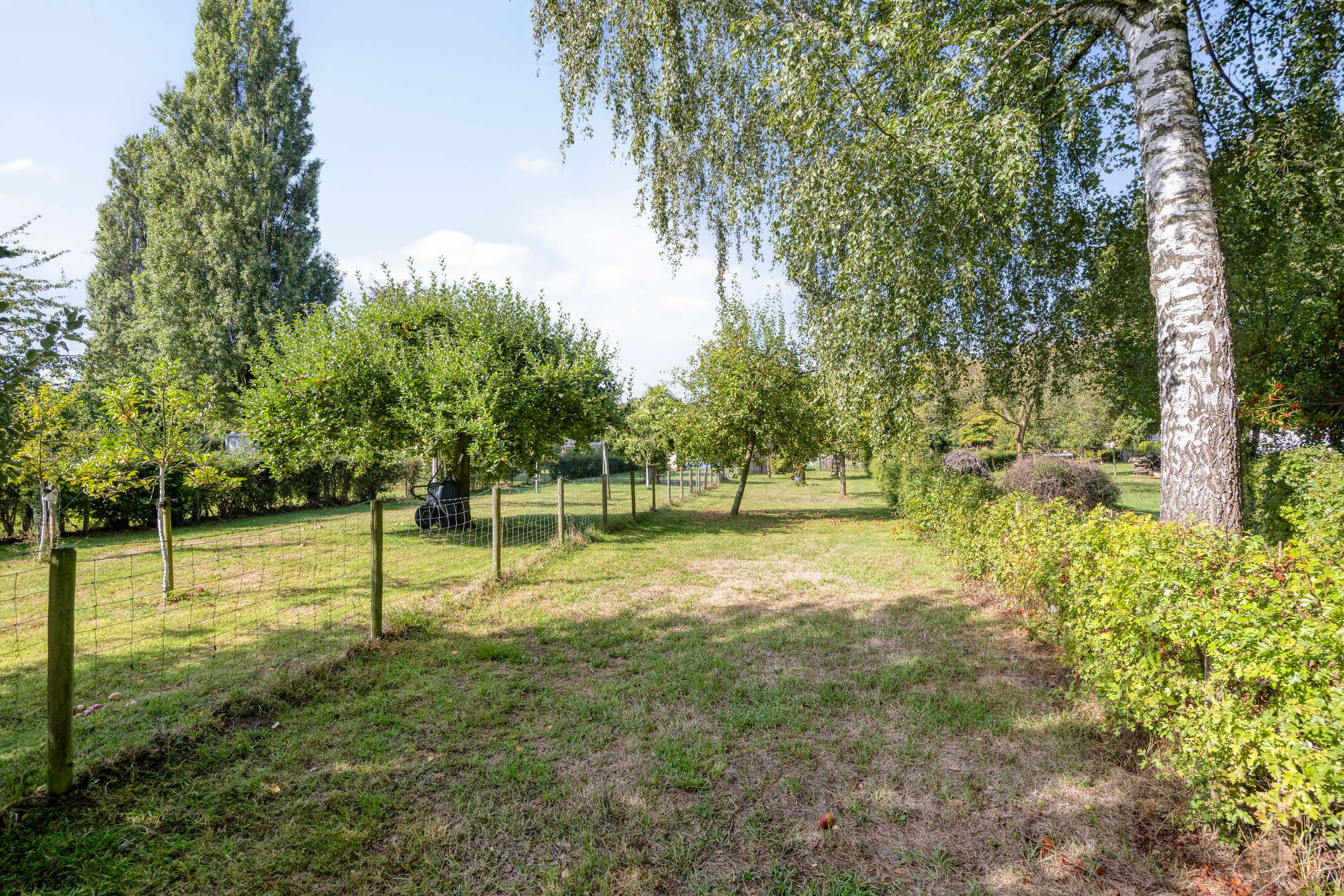 Photo 57 of Op de Bies 38