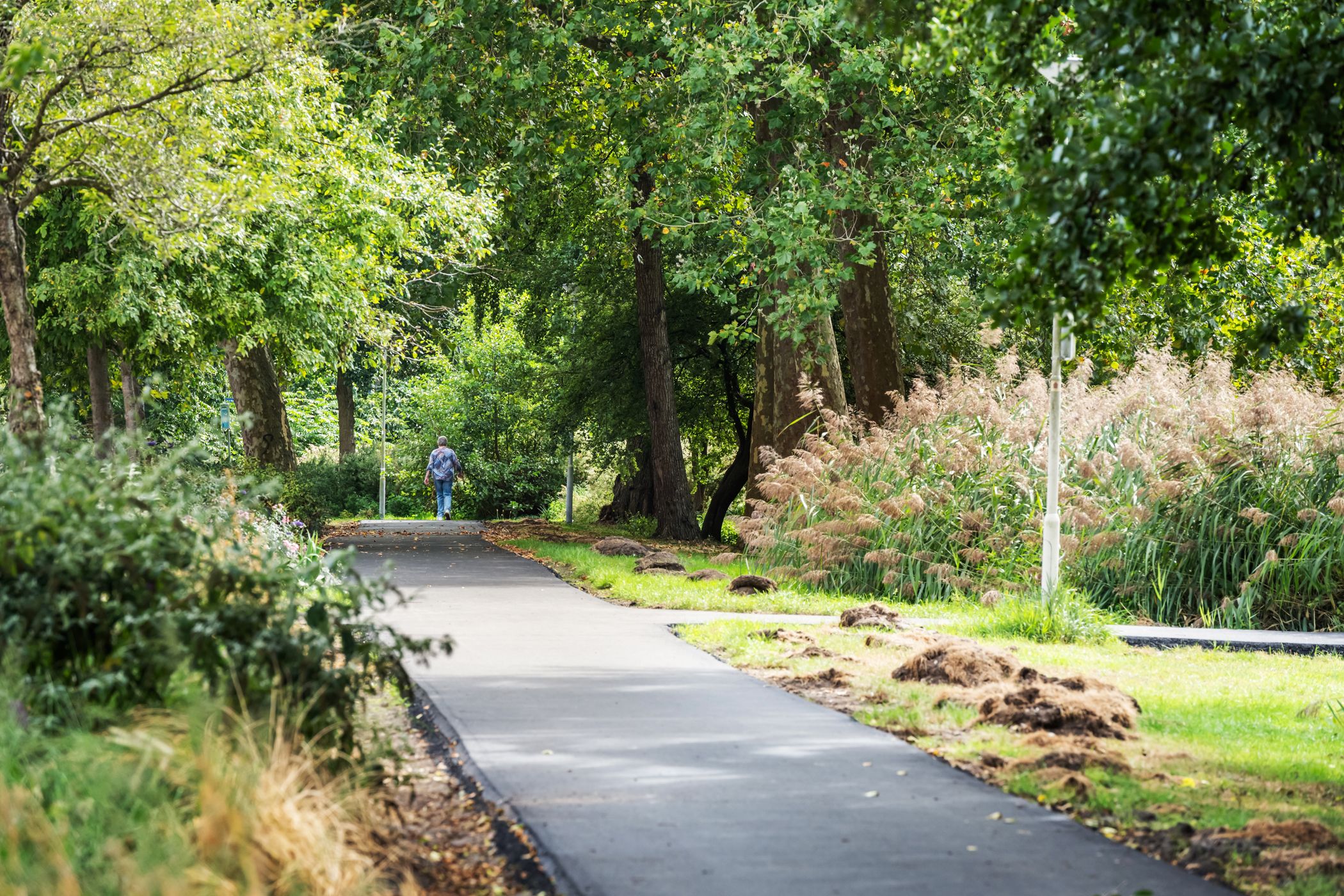 Foto 48 van Boris Pasternakstraat 40