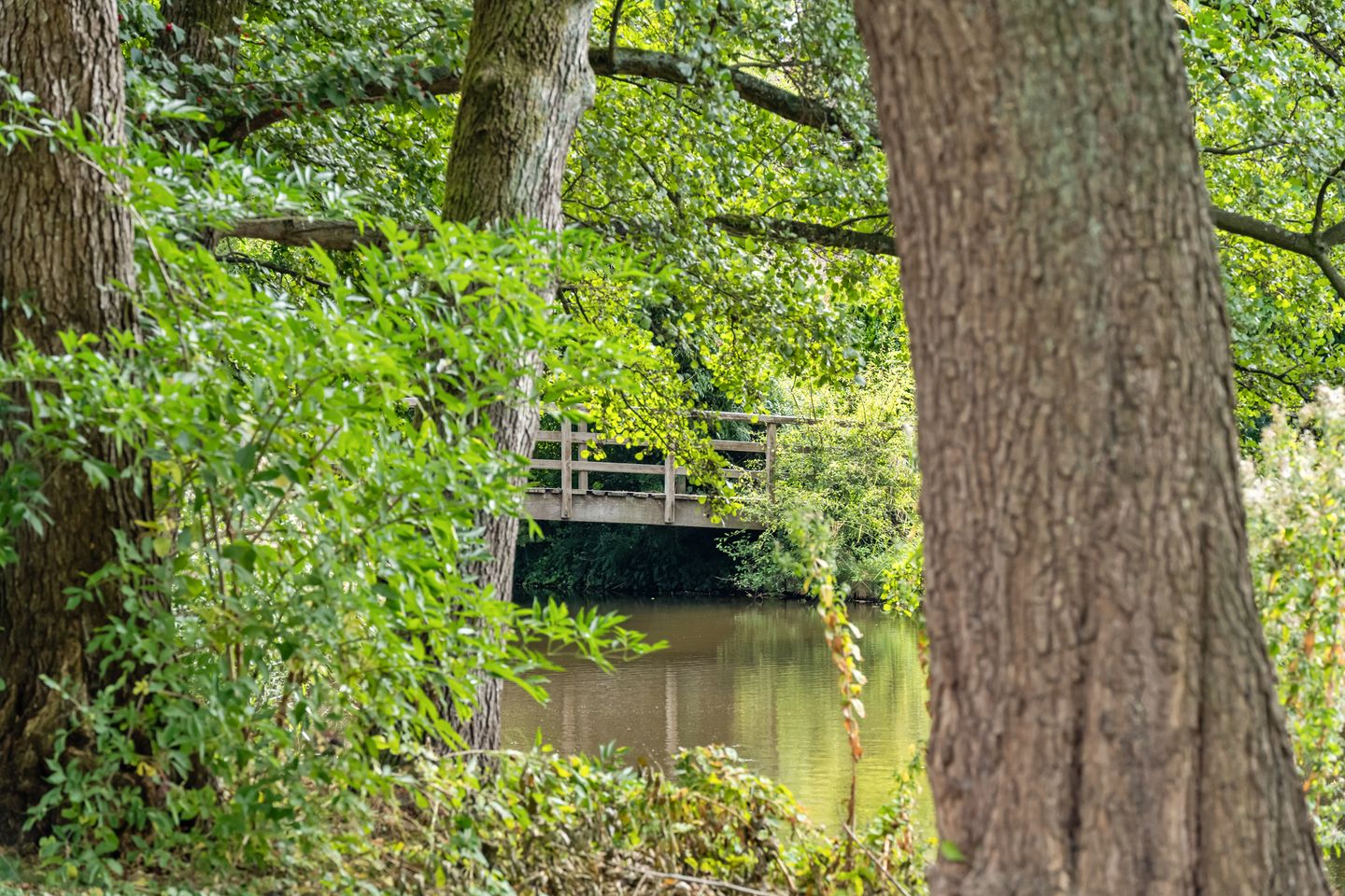 Foto 49 van Boris Pasternakstraat 40