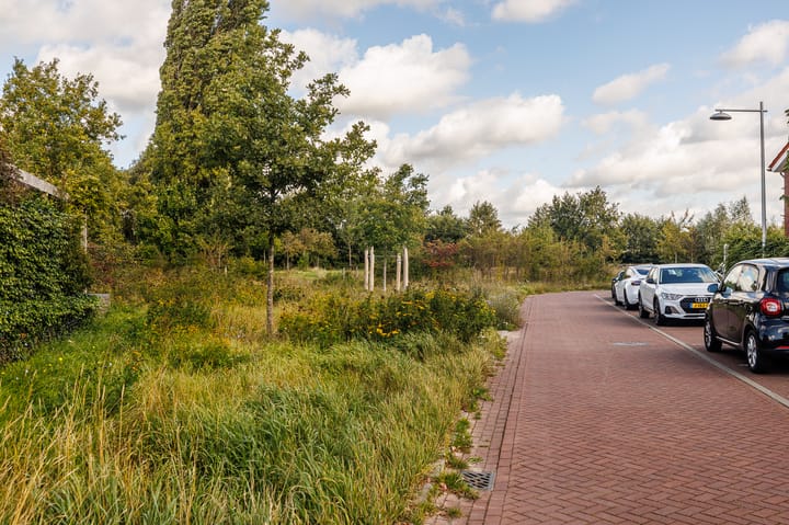 Foto 37 van Breeveen 25