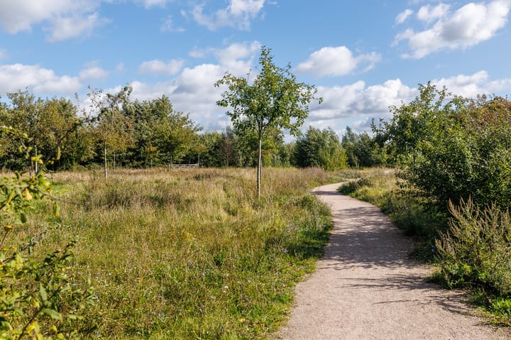 Foto 39 van Breeveen 25