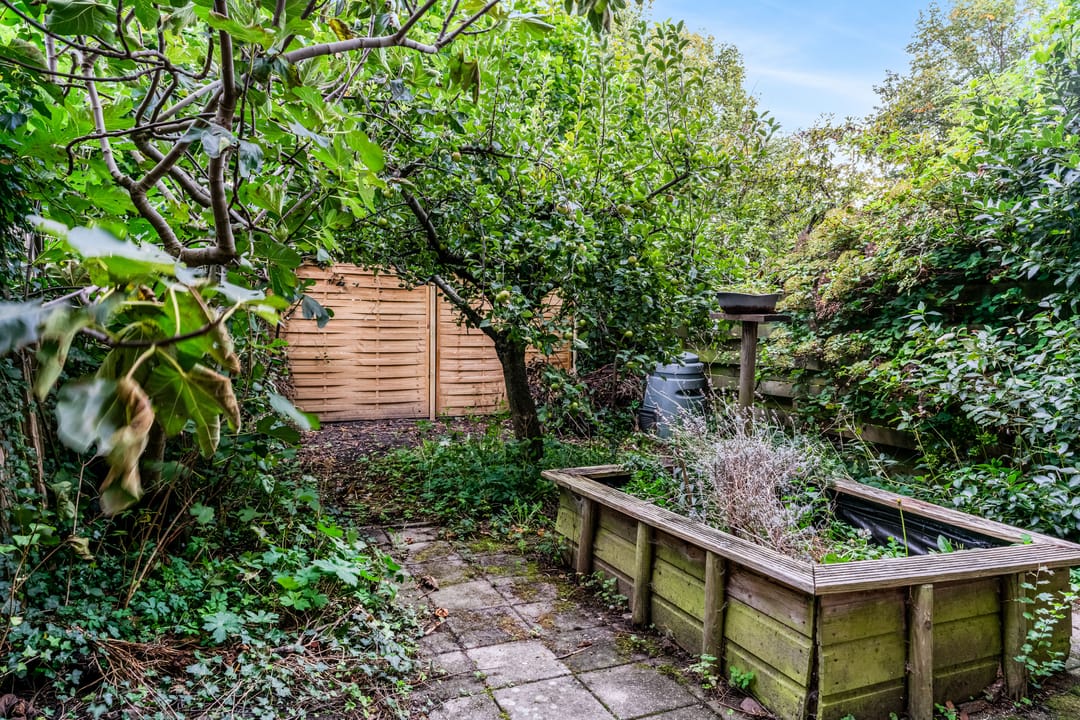 Foto 23 van Winkelwaard 23