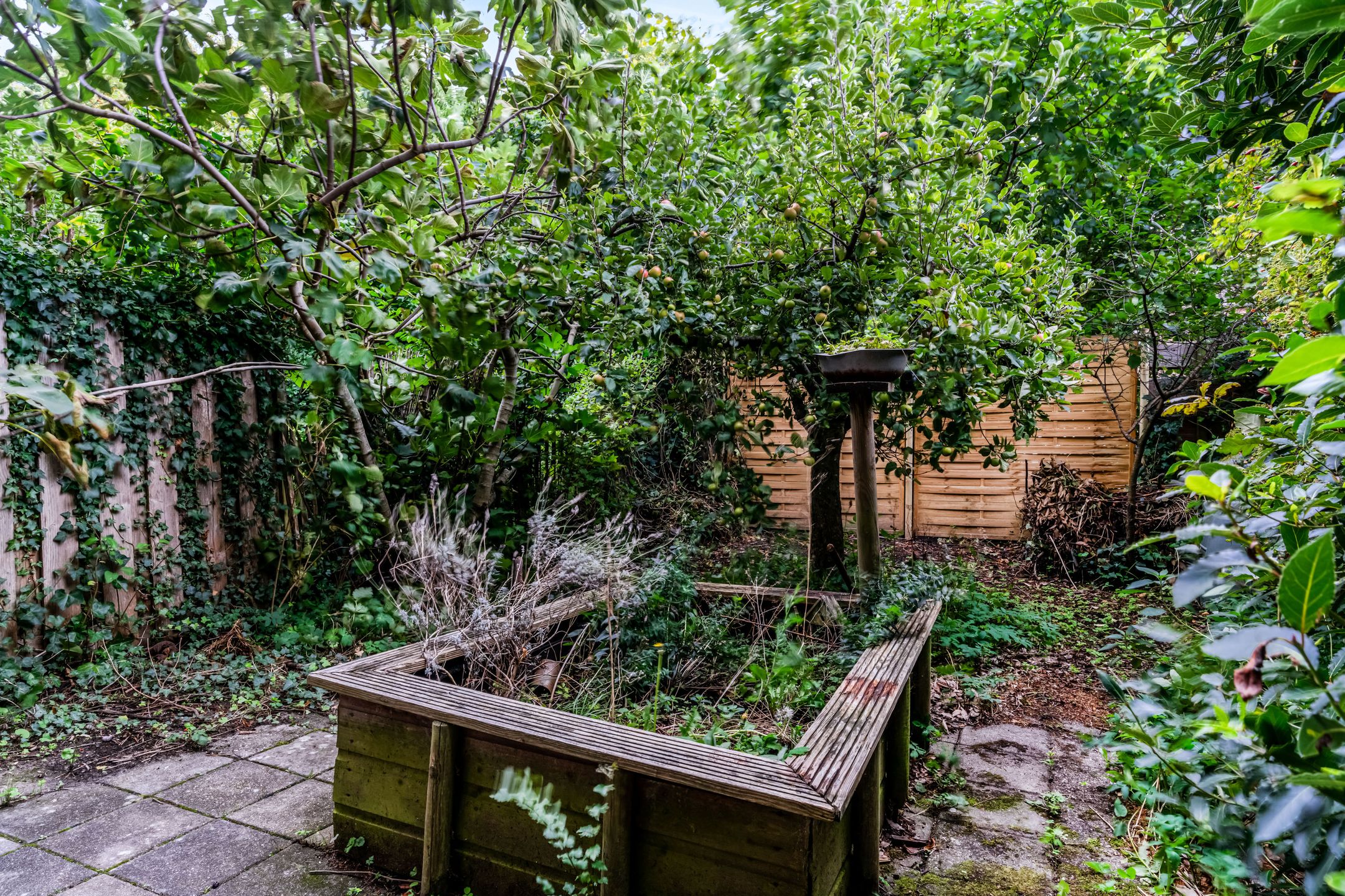 Foto 24 van Winkelwaard 23