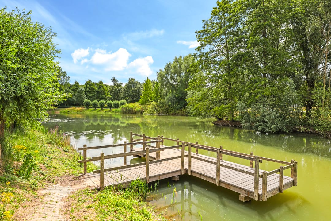 Foto 77 van Weefgewichtstraat 116