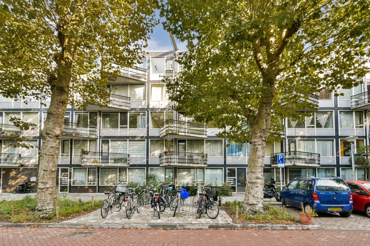 Foto 20 van Pieter Vlamingstraat 129