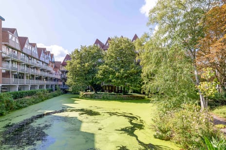 Graaf Balderikstraat thumbnail