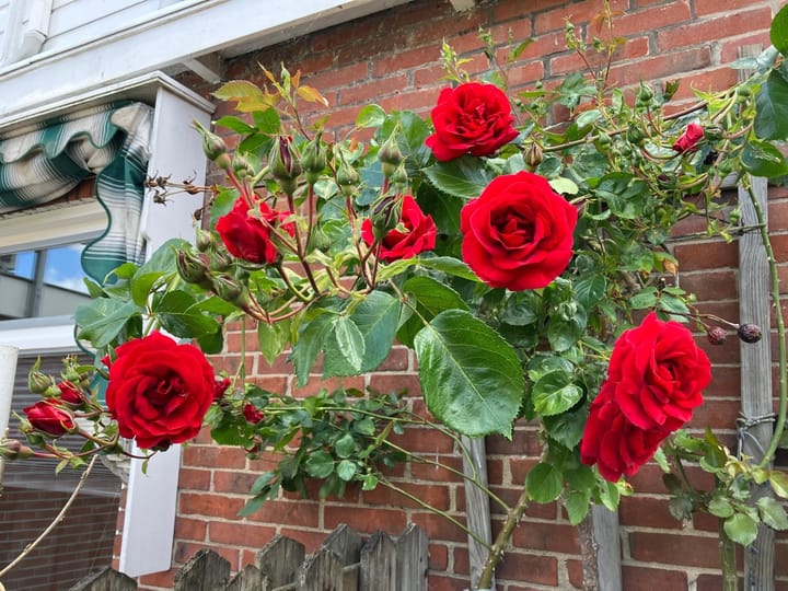 Foto 36 van Kerkhoflaan 6