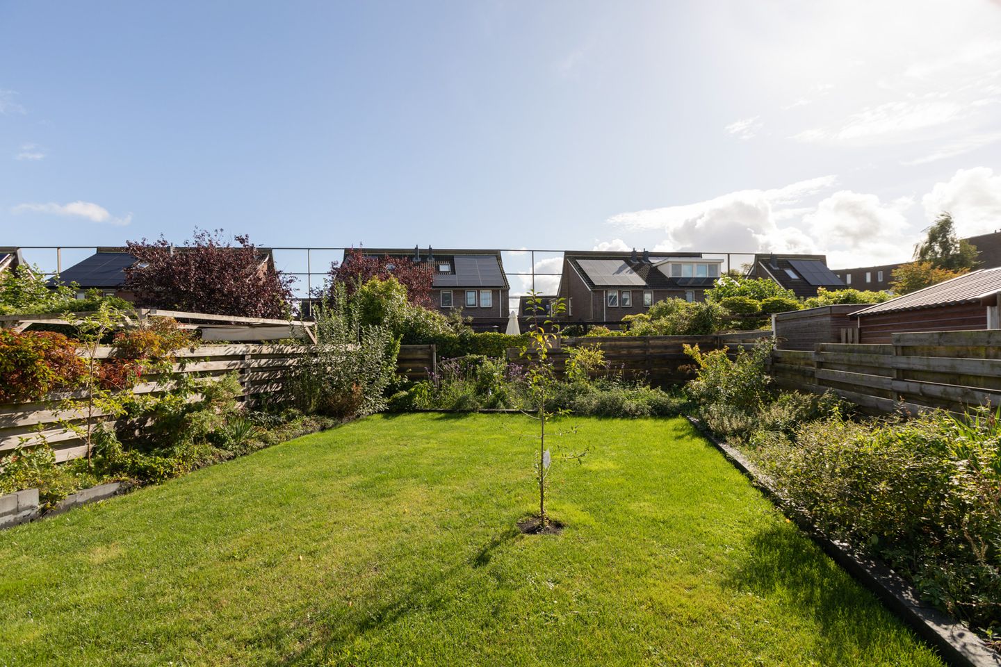 Foto 44 van Atalanta 35