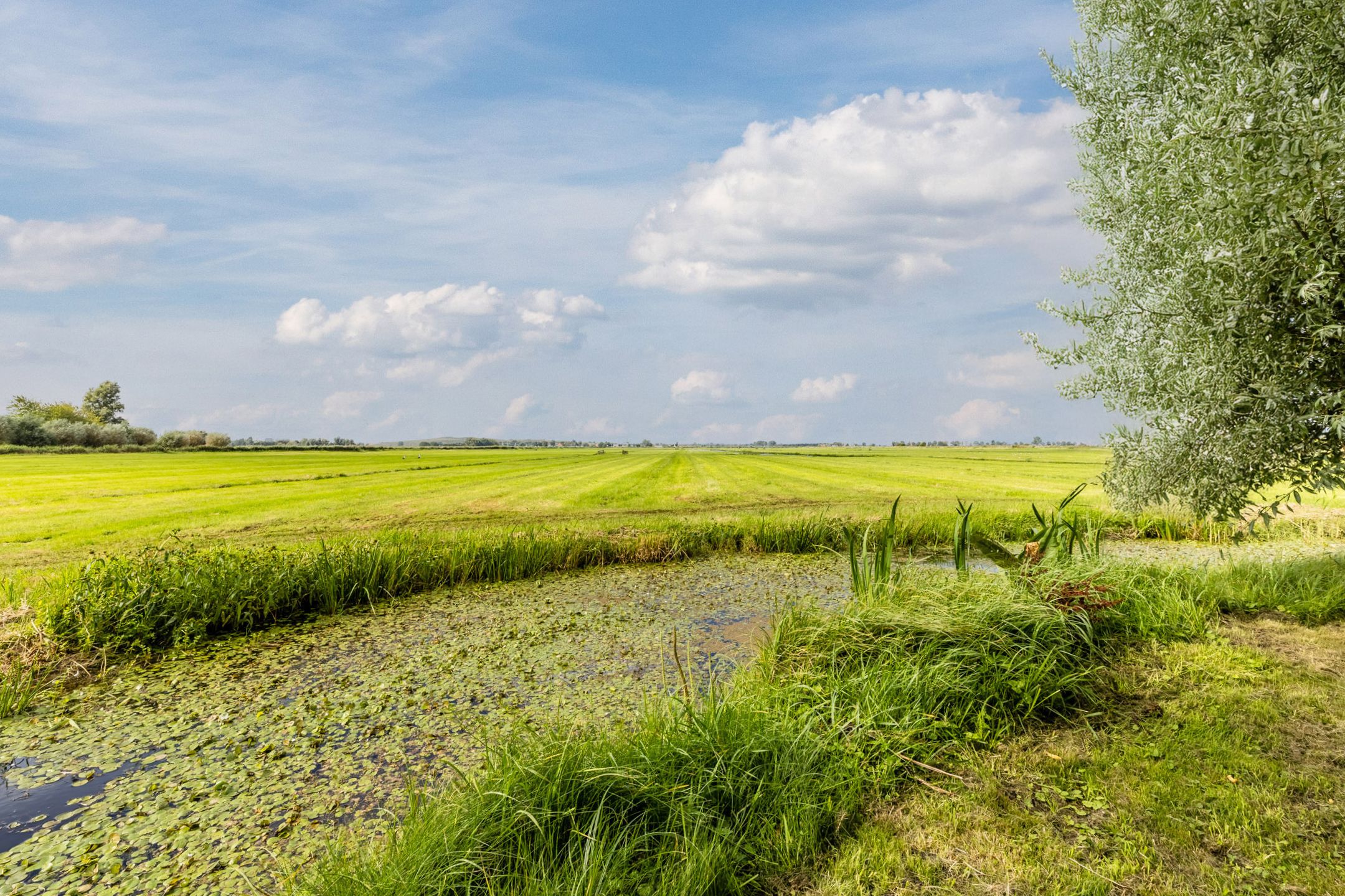 Photo 60 of J.J. Allanstraat 77