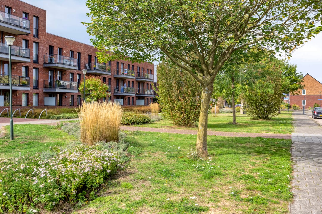 Foto 31 van Christofoor 224