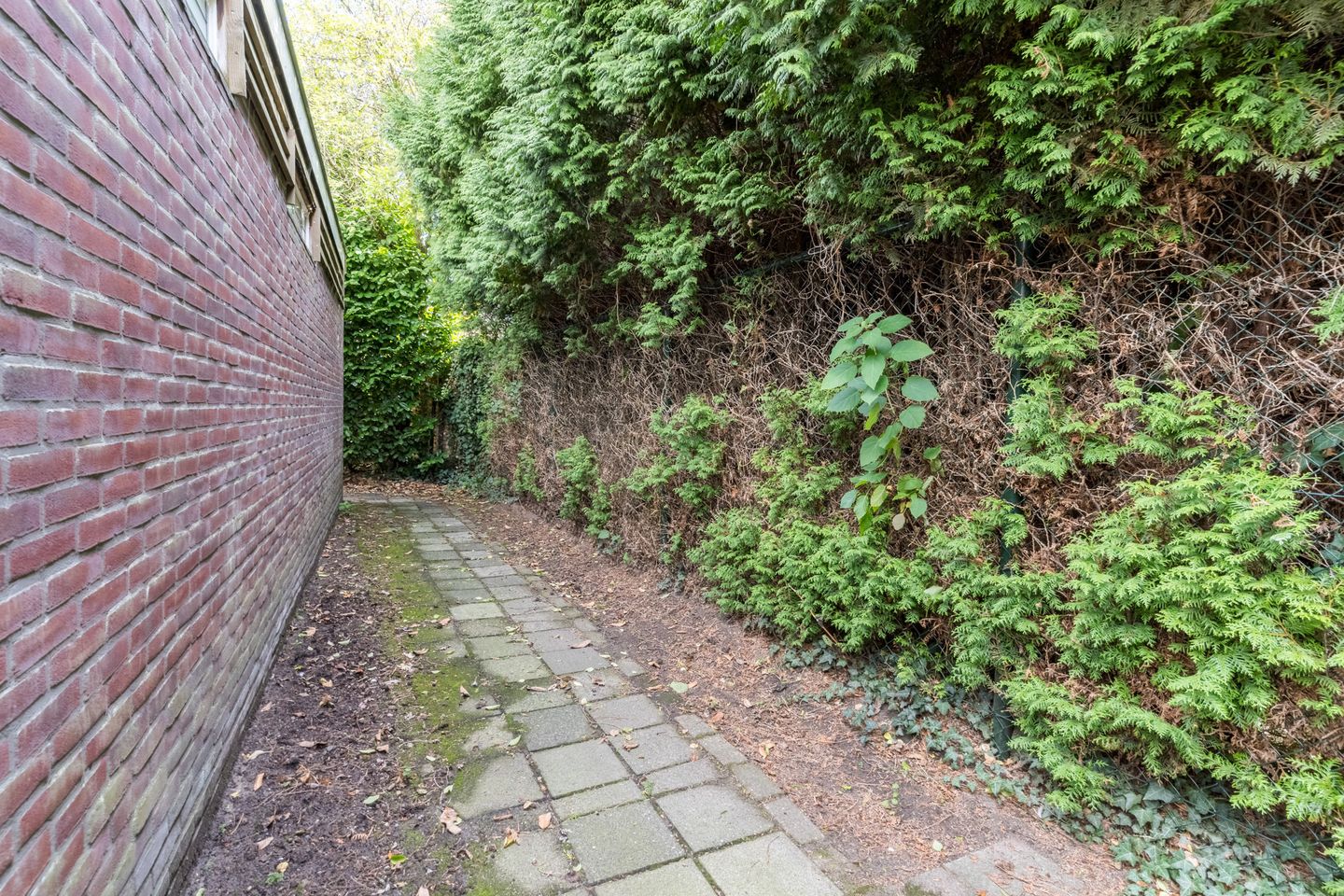 Foto 40 van Wouwerstraat 7