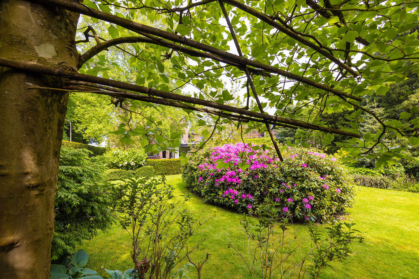 Foto 49 van Grotestraat 97