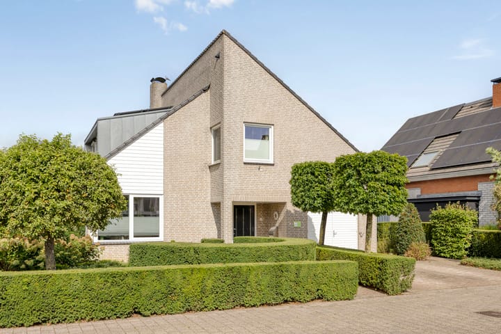 Foto 5 van Klopschouw 6