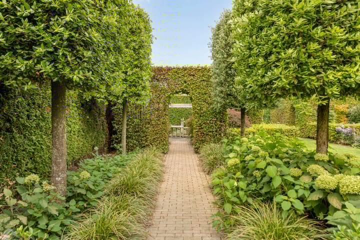 Foto 38 van Klopschouw 6