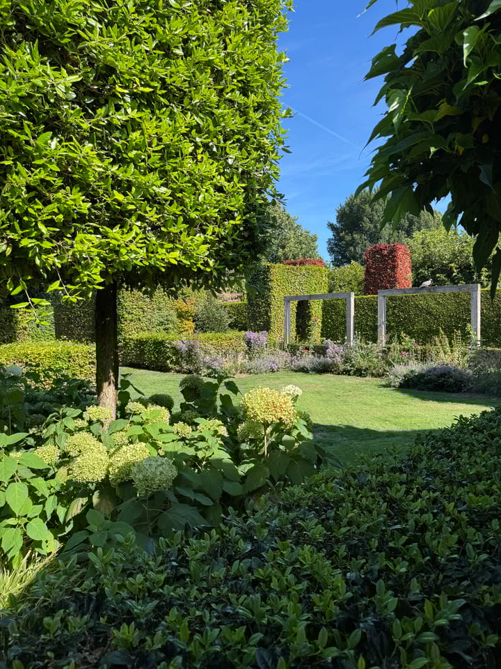 Foto 48 van Klopschouw 6