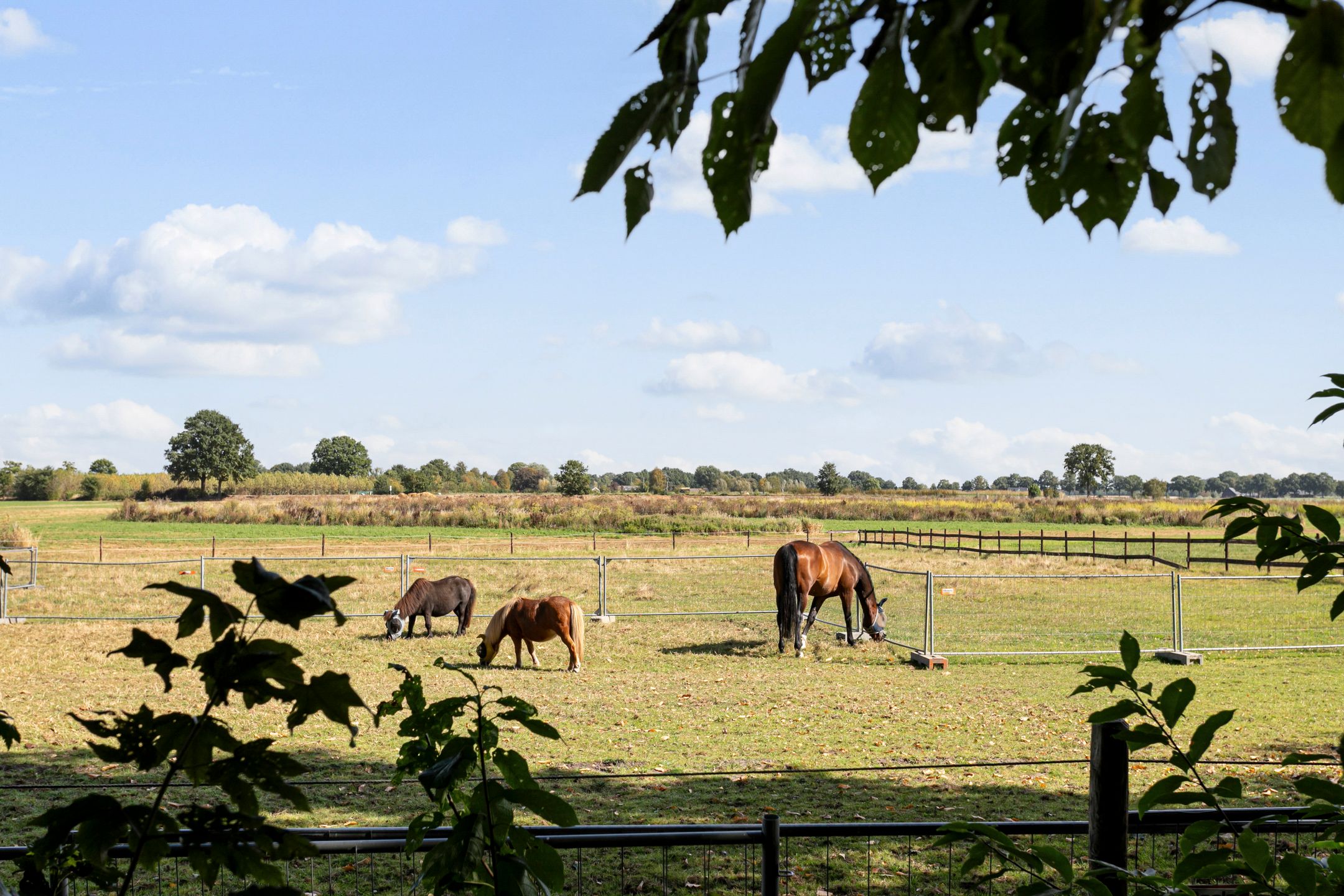 Foto 3 van Kolkstraat 11