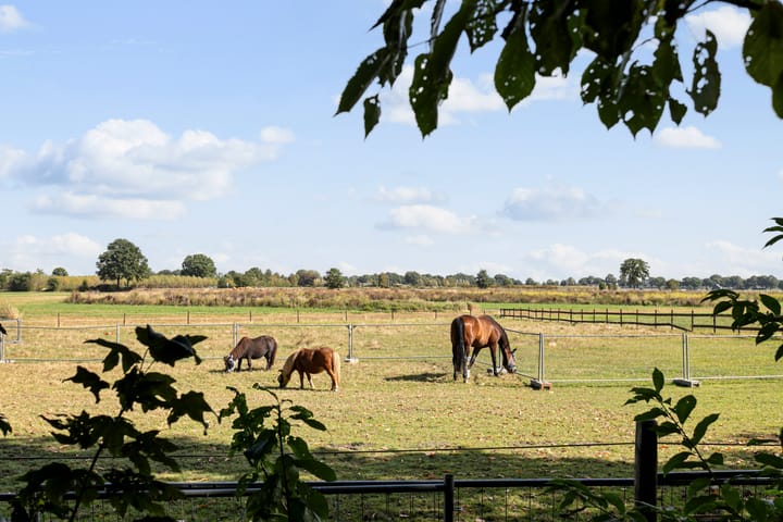 Foto 3 van Kolkstraat 11