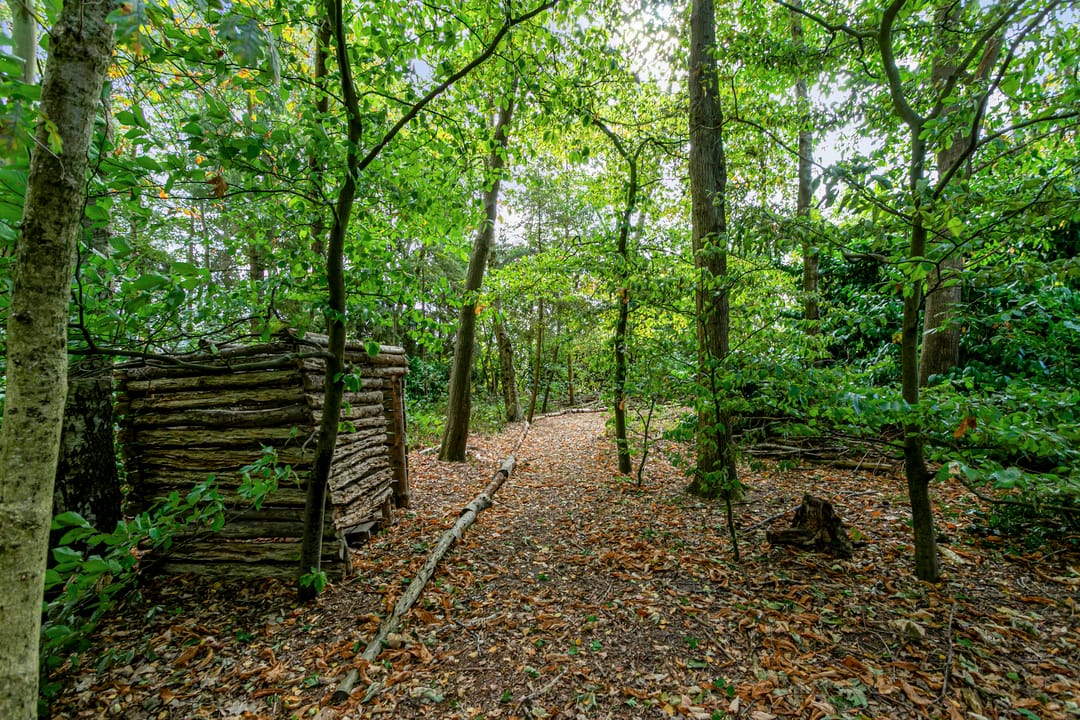 Foto 58 van Kolkstraat 11