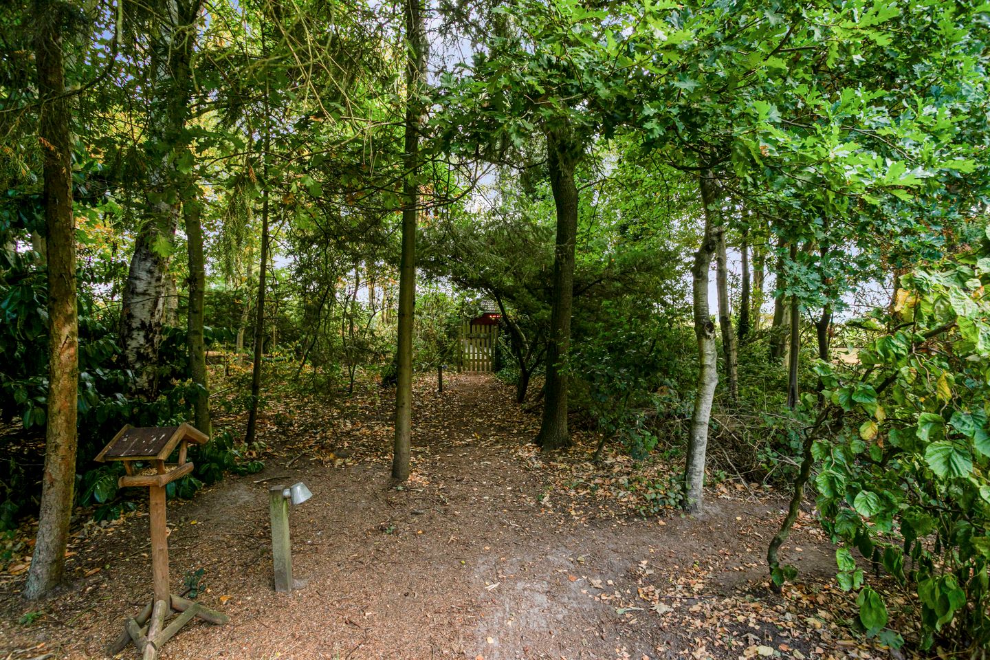 Foto 59 van Kolkstraat 11