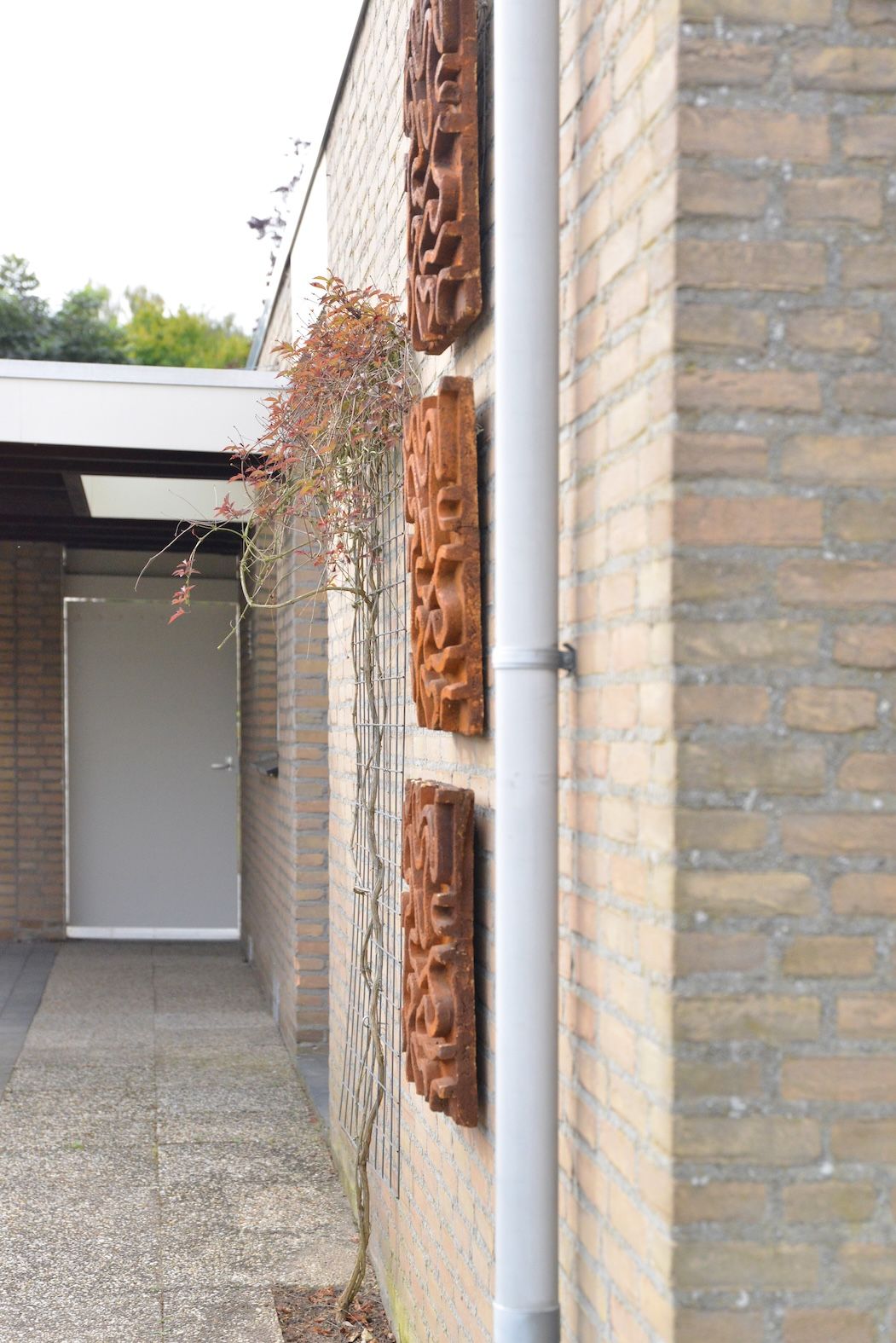 Foto 2 van dokter E.Verstraelenstraat 12