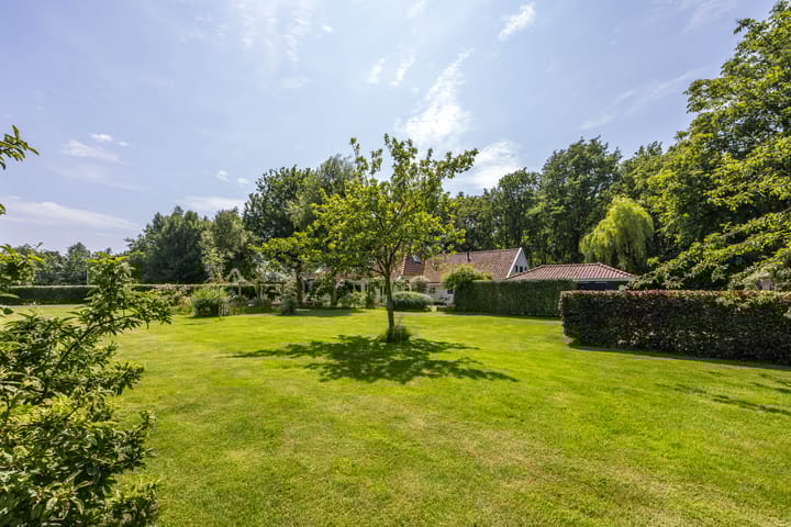 Photo 18 of 8e Wijk 8