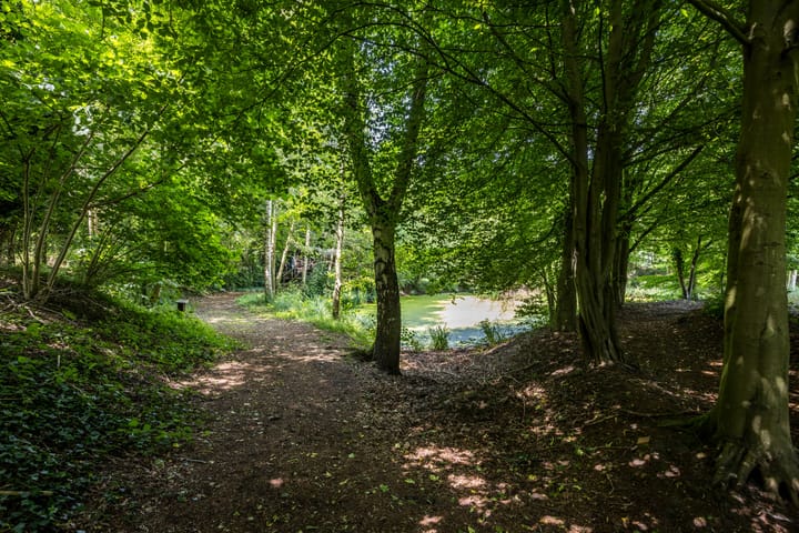 Photo 21 of 8e Wijk 8