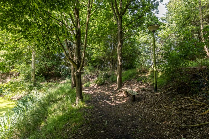 Photo 24 of 8e Wijk 8