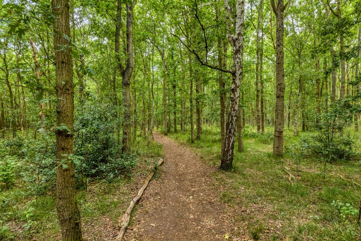 Foto 49 van Grevelingenlaan 12