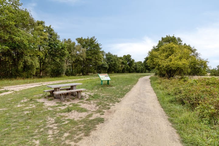 Foto 50 van Grevelingenlaan 12