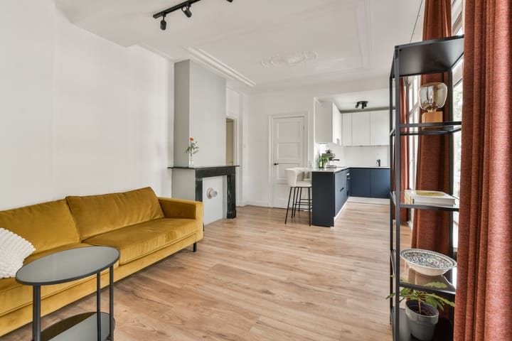 Foto 8 van Borgerstraat 227-2