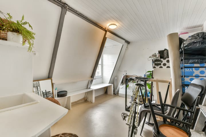 Foto 21 van Borgerstraat 227-2